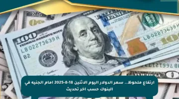 ارتفاع ملحوظ.. سعر الدولار اليوم الإثنين 18-8-2025 أمام الجنيه في البنوك حسب آخر تحديث